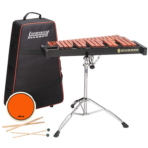 Image of a Student Percussion