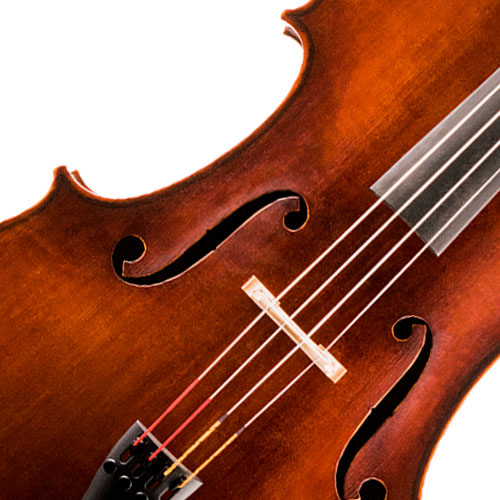 Image of a Double Bass