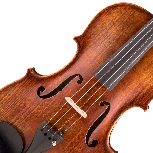 image of a Violas  