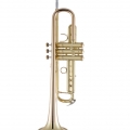 17043GYR Professional Trumpet