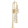 Bach BTR301 Trumpet