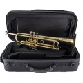 BTR411 Trumpet on Case