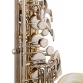 SAS301 Alto Saxophone