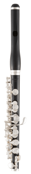 image of a SPC711 Professional Piccolo